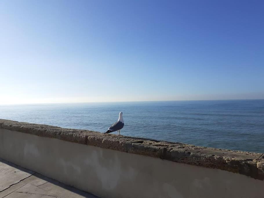Mar Y Sol Appartement Cádiz Buitenkant foto
